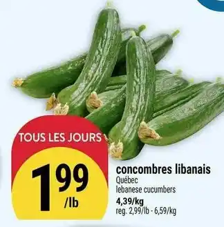 Marché Adonis Concombres libanais offer