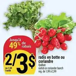 Marché Adonis Radis en botte ou coriandre offer