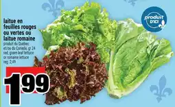 Super C laitue en feuilles rouges ou vertes ou laitue romaine offer