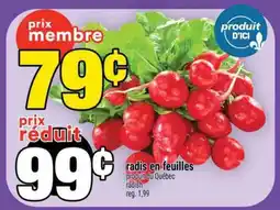 Super C radis en feuilles offer