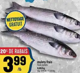 Marché Adonis Mulets frais offer