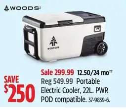 Canadian Tire Portable Electric Cooler offer