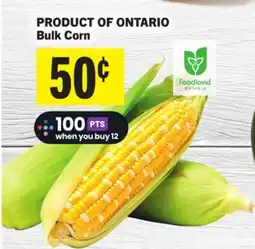 Foodland Bulk Corn offer