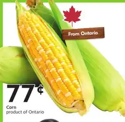 Sobeys Corn offer