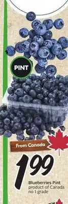 Sobeys Blueberries Pint offer