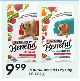 Sobeys Beneful Dry Dog offer
