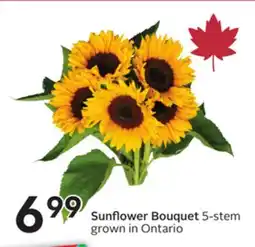 Sobeys Sunflower Bouquet 5-stem offer