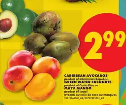 No Frills CARIBBEAN AVOCADOS, GREEN WATER COCONUTS, MAYA MANGO offer