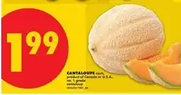 No Frills CANTALOUPE offer