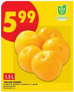 No Frills YELLOW PLUMS offer