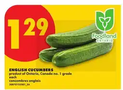 No Frills ENGLISH CUCUMBERS offer