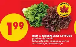 No Frills RED OR GREEN LEAF LETTUCE offer