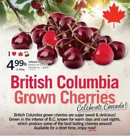 Fortinos COLOSSAL RED CHERRIES offer