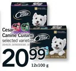 Fortinos CESAR CANINE CUISINE offer