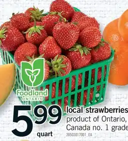 Fortinos LOCAL STRAWBERRIES offer