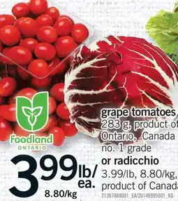 Fortinos GRAPE TOMATOES, 283 G OR RADICCHIO offer
