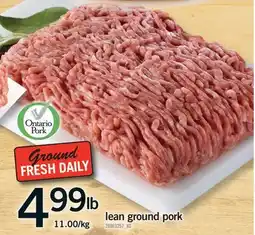 Fortinos LEAN GROUND PORK offer