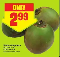 FreshCo Water Coconuts Product of Costa Rica offer