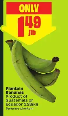 FreshCo Plantain Bananas Product of Guatemala or Ecuador. 3.28/kg offer