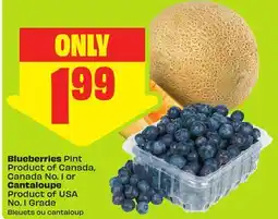 FreshCo Blueberries Pint Product of Canada, Canada No.1 or Cantaloupe Product of USA No.1 Grade offer