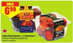FreshCo Yellow Flesh Peaches 3 L or Nectarines 2 L Product of Ontario, Canada No. 1 offer