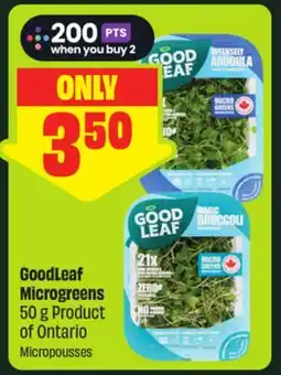 FreshCo GoodLeaf Microgreens 50 g Product of Ontario offer