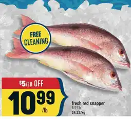 Marché Adonis fresh red snapper offer