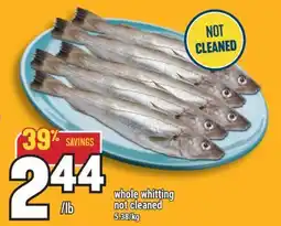 Marché Adonis whole whiting not cleaned offer