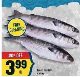 Marché Adonis fresh mullets offer