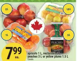 Marché Adonis apricots 1 L, nectarines 2 L, peaches 3 L or yellow plums 1.5 L offer