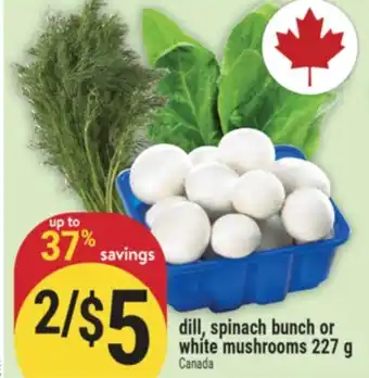 Marché Adonis dill, spinach bunch or white mushrooms offer