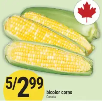 Marché Adonis bicolor corns offer