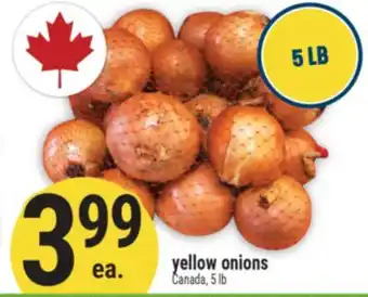 Marché Adonis yellow onions offer