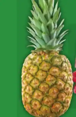 Food Basics RASPBERRIES, TROPICAL GOLD PINEAPPLE offer
