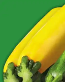 Food Basics GREEN, GRAY OR YELLOW ZUCCHINI offer