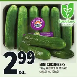 Metro MINI CUCUMBERS offer