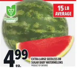 Metro EXTRA LARGE SEEDLESS OR SUGAR BABY WATERMELONS offer