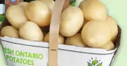 Metro WHITE POTATOES OR DILL CUCUMBERS offer
