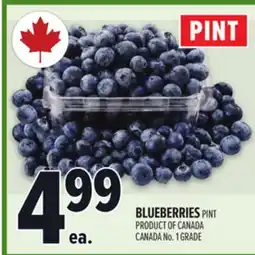 Metro BLUEBERRIES offer