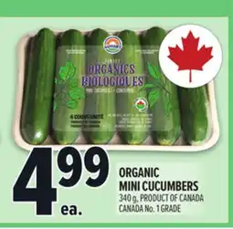 Metro ORGANIC MINI CUCUMBERS offer