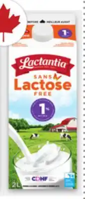 Metro LACTANTIA LACTOSE FREE MILK offer