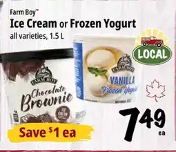 Farm Boy Farm Boy Ice Cream or Frozen Yogurt offer