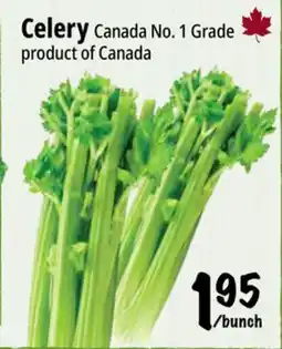 Farm Boy Celery offer