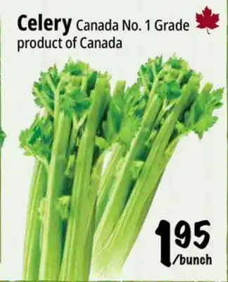 Farm Boy Celery offer