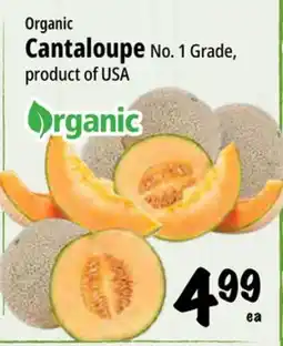 Farm Boy Cantaloupe offer