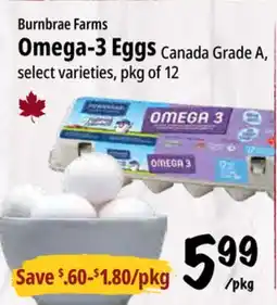 Farm Boy Burnbrae Farms Omega-3 Eggs offer