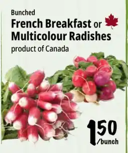 Farm Boy French Breakfast or Multicolour Radishes offer