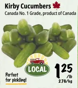 Farm Boy Kirby Cucumbers offer