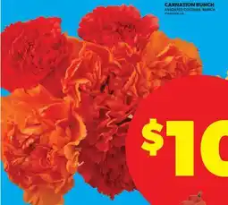 Real Canadian Superstore CARNATION BUNCH offer