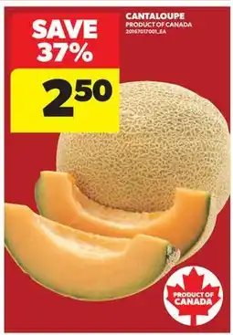 Real Canadian Superstore CANTALOUPE offer